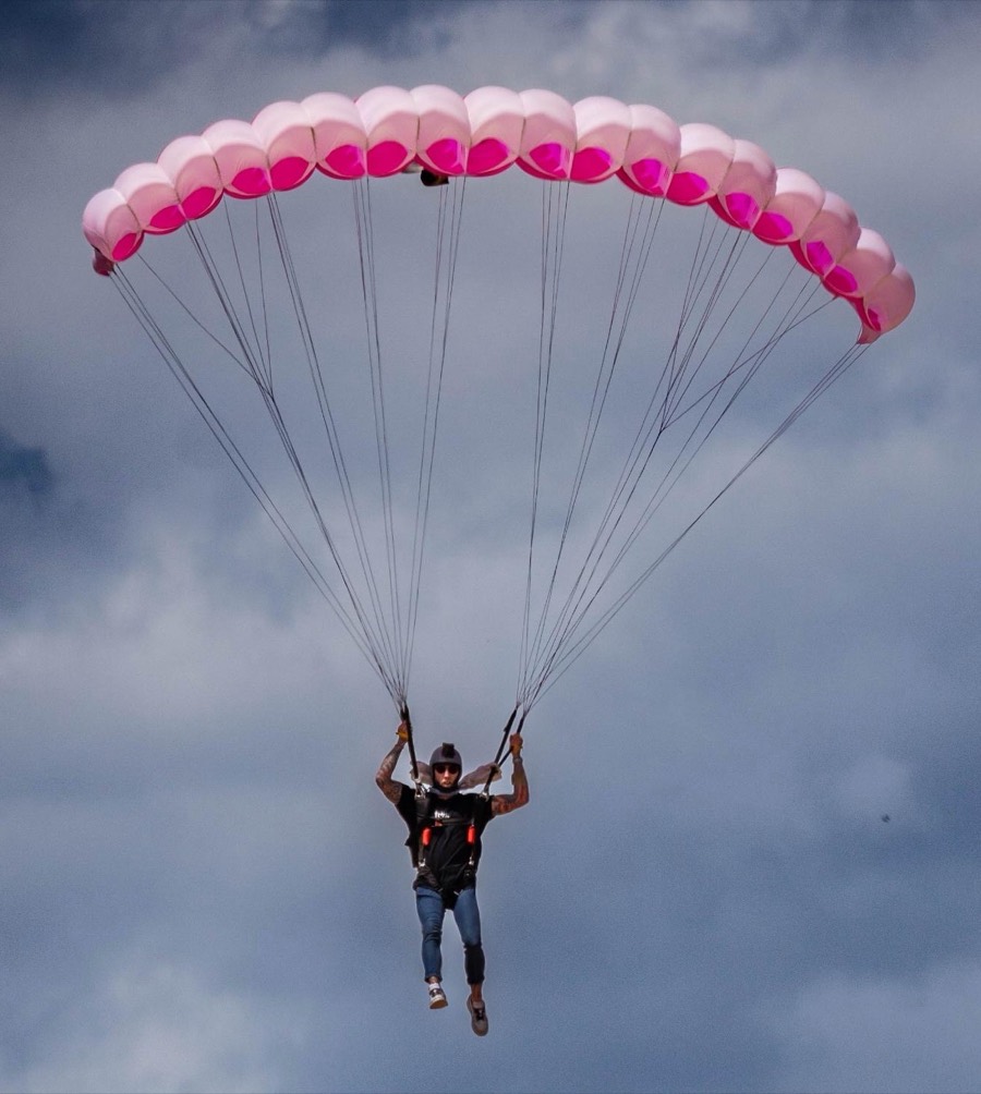 Brock under a pink canopy against storm clouds